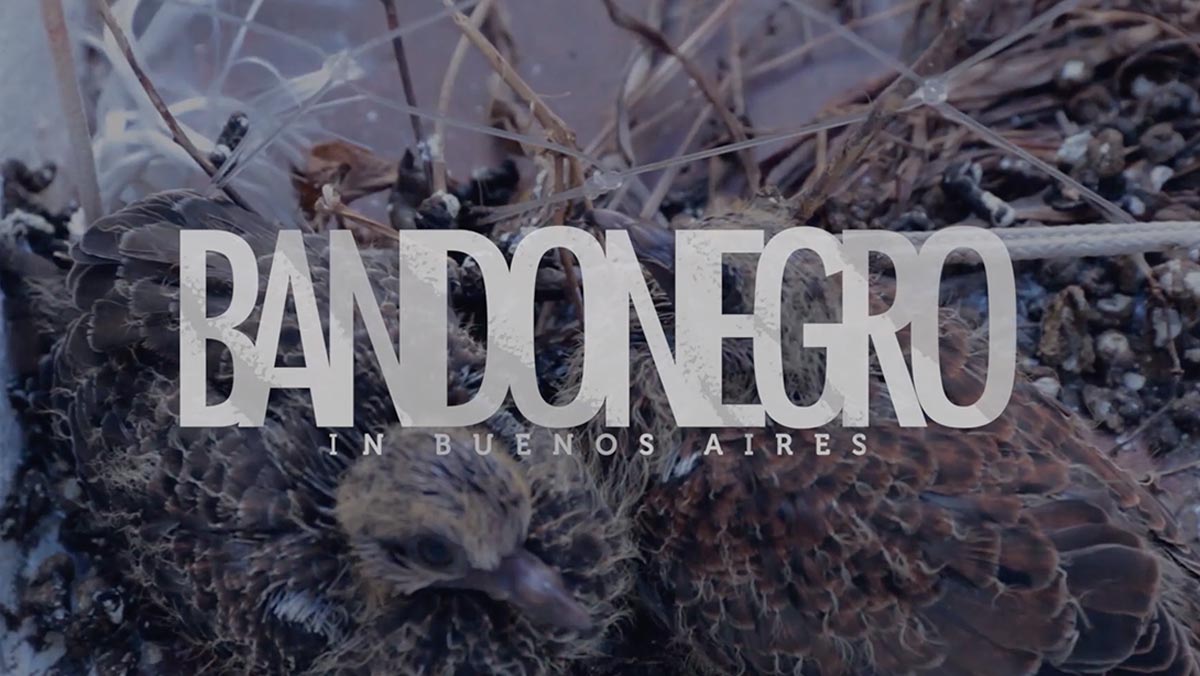 Filmtrailer Bandonegro In Buenos Aires